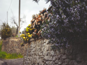 Гостиница Agriturismo La Collina Toscana  Пьеве-А-Маяно